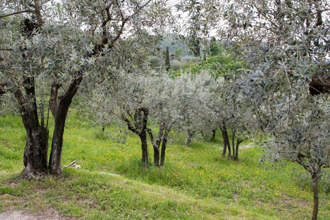 Agriturismo Il Calesse Quarrata Extérieur photo